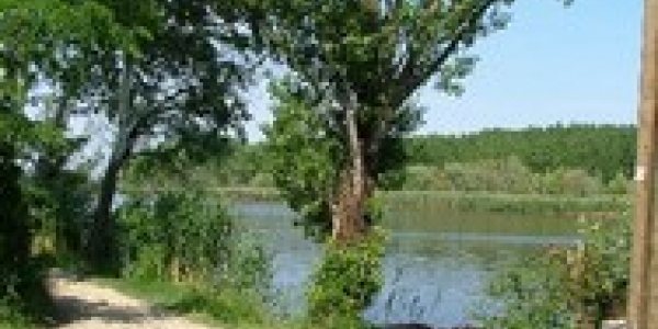 D&K Panzió